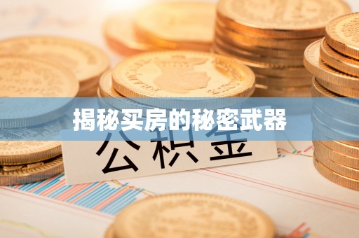 四会揭秘买房的秘密武器