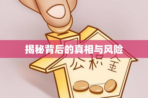 四会揭秘背后的真相与风险