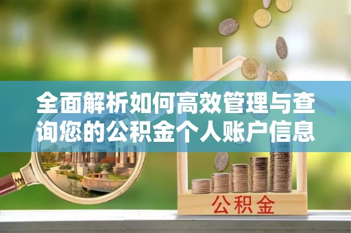 四会全面解析如何高效管理与查询您的公积金个人账户信息