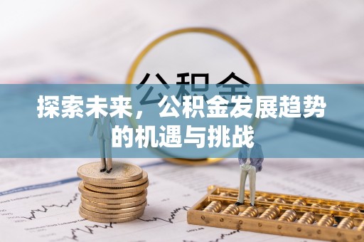 四会探索未来，公积金发展趋势的机遇与挑战