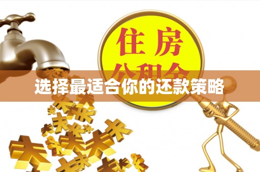 四会选择最适合你的还款策略